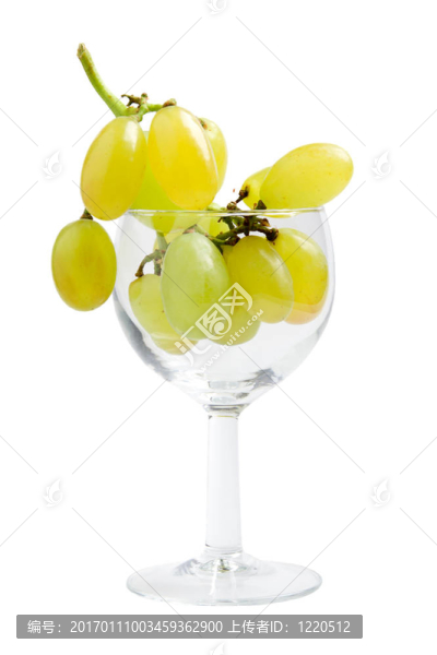 白葡萄