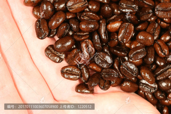 咖啡豆和一只手