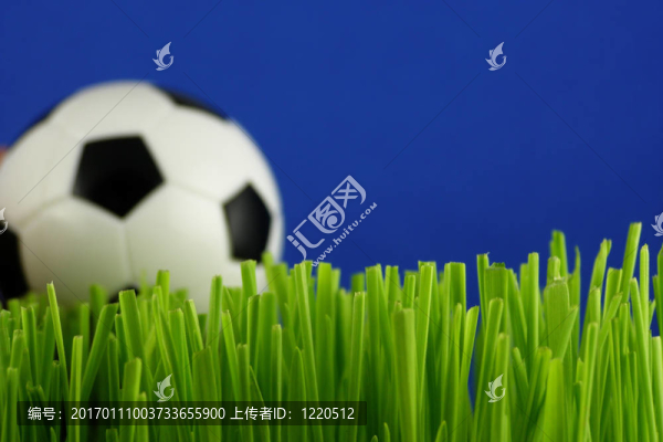 草地足球