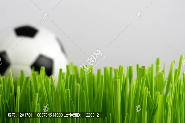 草地足球