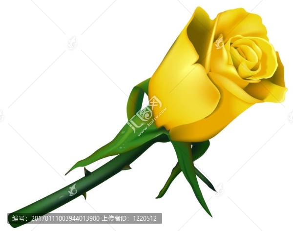 婚禮上的Rose,Yellow