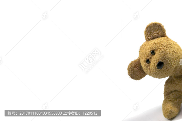 泰迪偷看