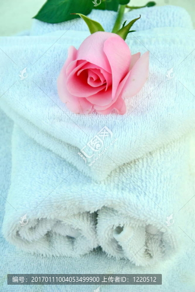 玫瑰SPA