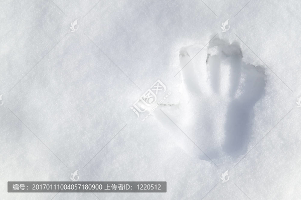 雪中的手印