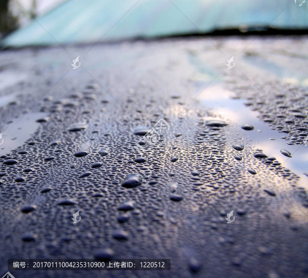 車后的雨