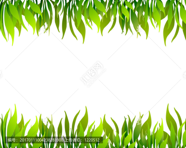 植物架
