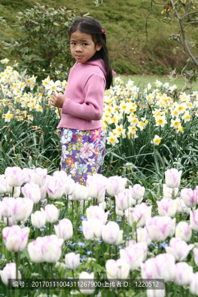 孩子花