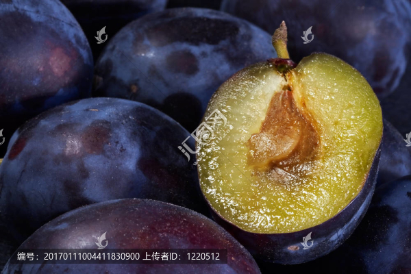 深藍(lán)色成熟肉質(zhì)李子