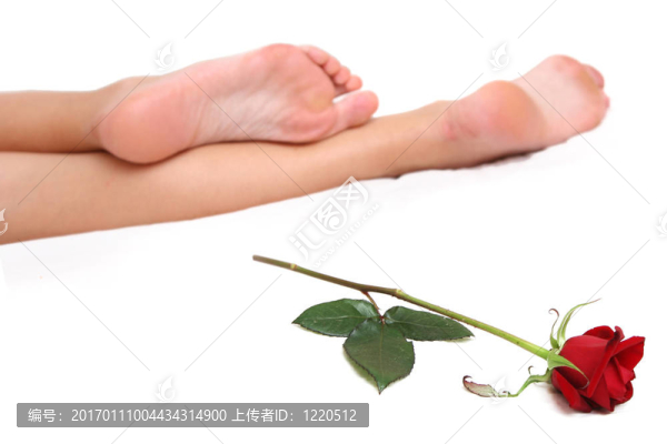 腿和羅絲