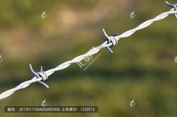 鐵絲網(wǎng)