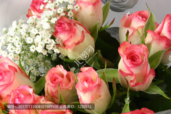 玫瑰的花束-匯圖網(wǎng) www.fosd68.com 玫瑰的花束