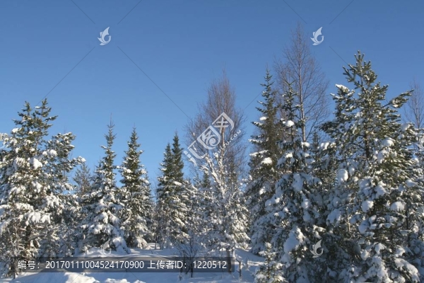 冬季景觀