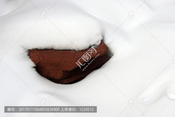 雪白的摘要