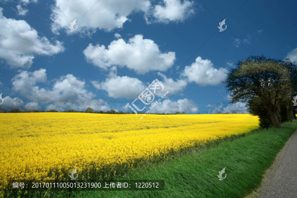 丹麥landscape01