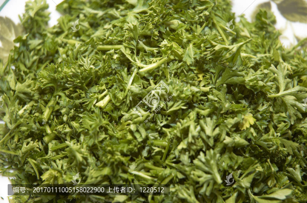 歐芹碎