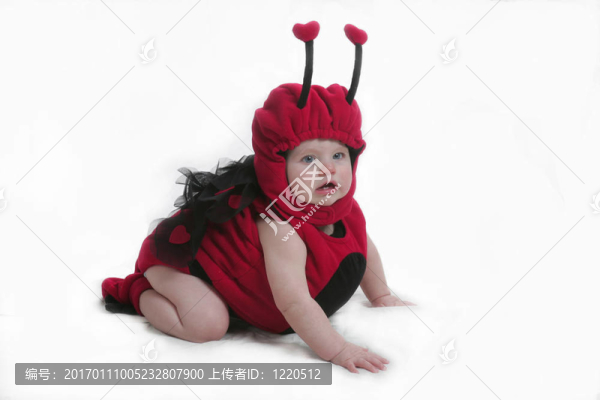 瓢蟲套裝