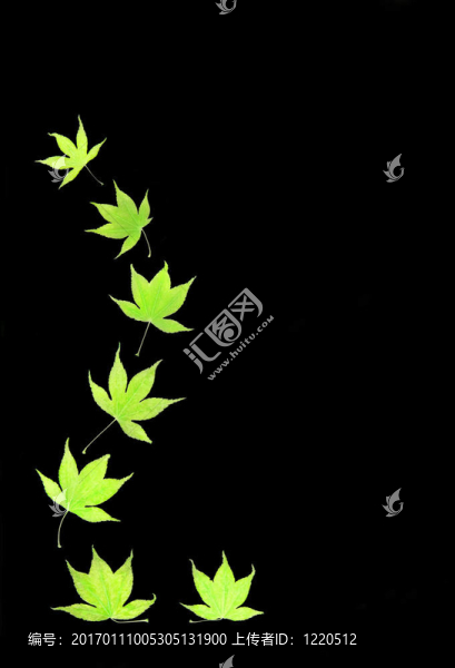 宏碁葉摘要