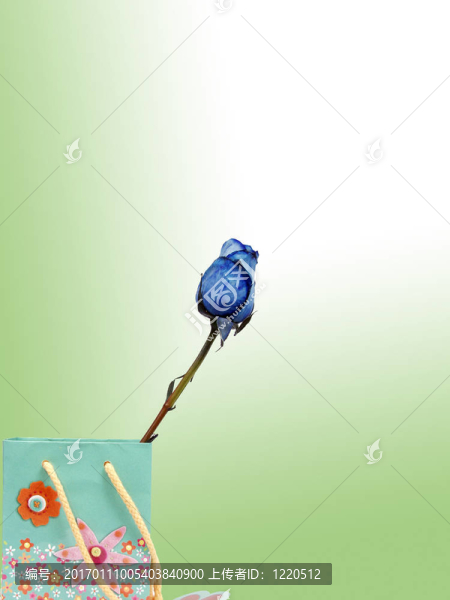 袋