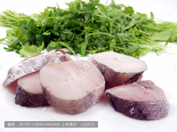 魚