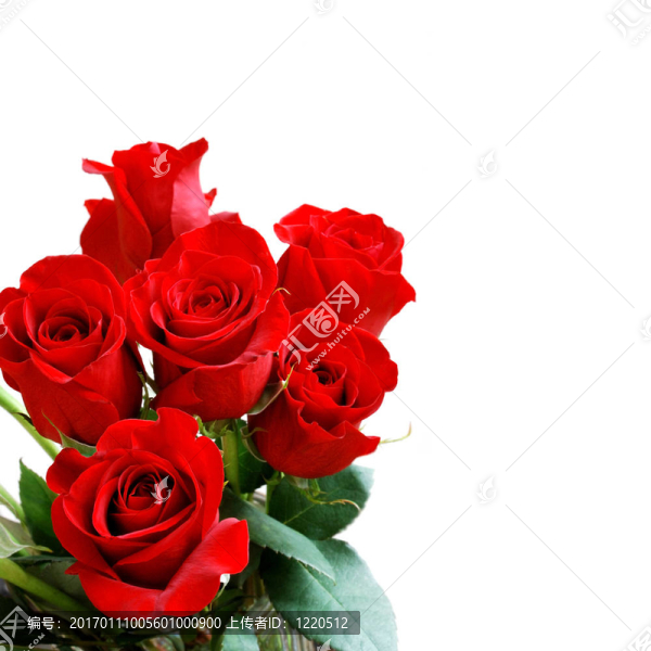 紅玫瑰花束