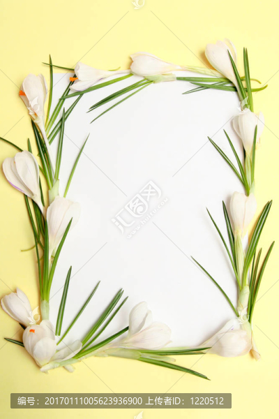 春天的花框