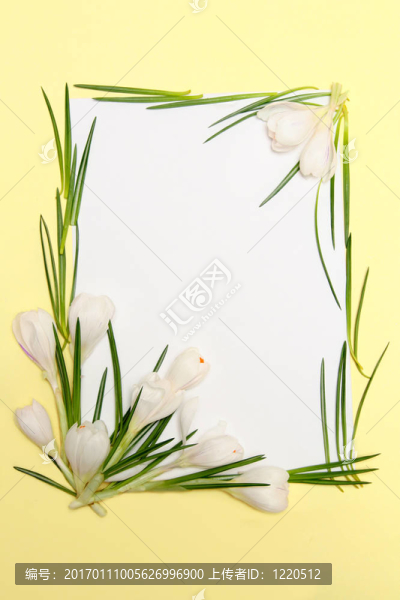 春天的花框