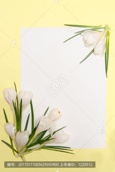 春天的花框