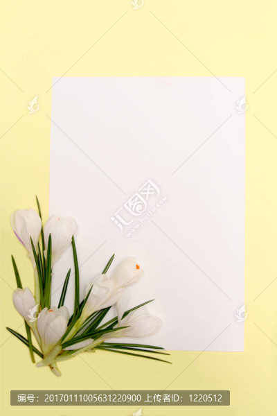 春天的花框