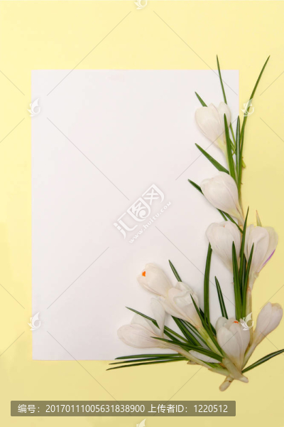 春天的花框