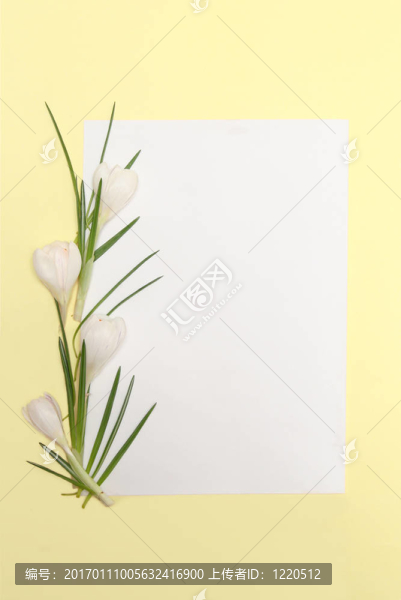 春天的花框