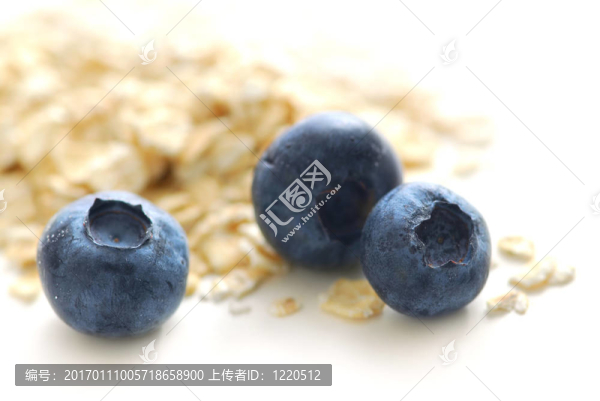 藍莓燕麥