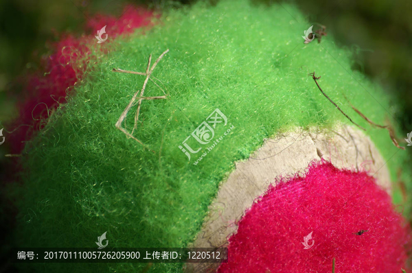 尼龍球