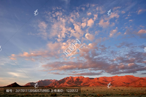 沙漠景觀