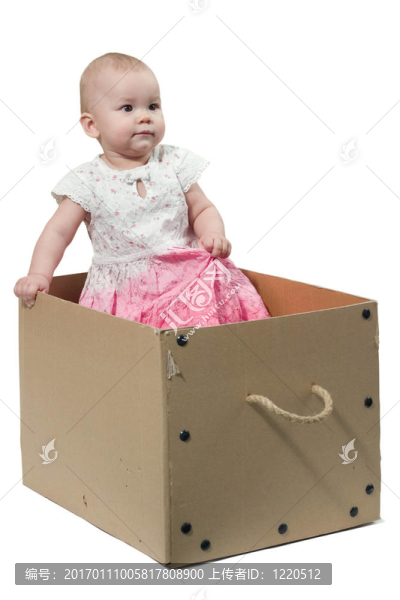 盒子里的嬰兒