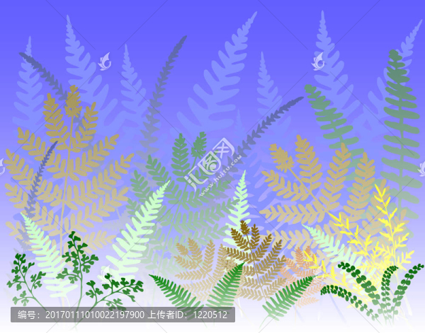 蕨類植物的森林-匯圖網(wǎng) www.fosd68.com 蕨類植物的森林