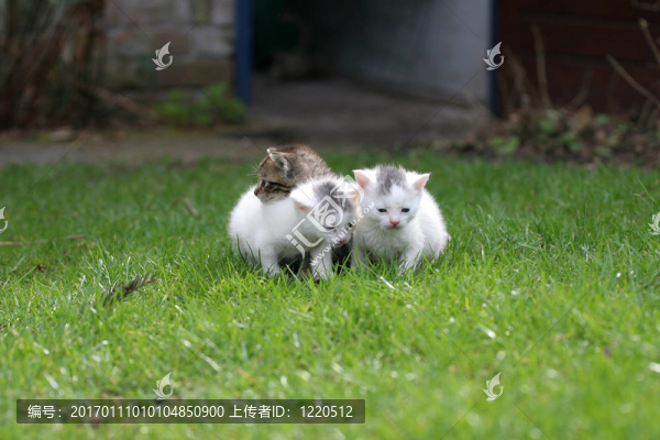 獨(dú)自在世界上