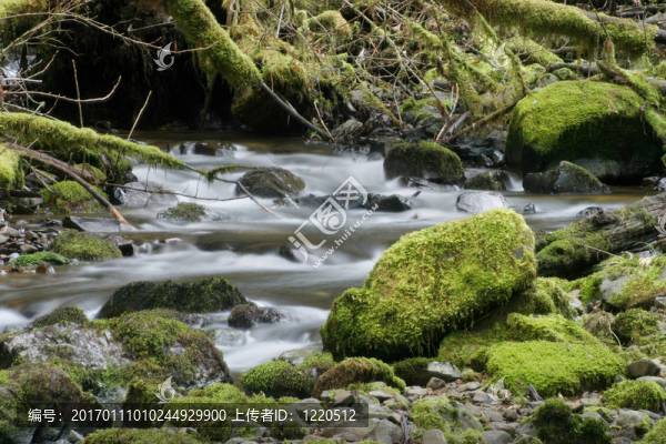 流和苔蘚的巖石-匯圖網(wǎng) www.fosd68.com 流和苔蘚的巖石