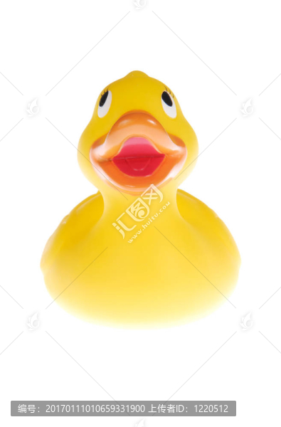 鴨子