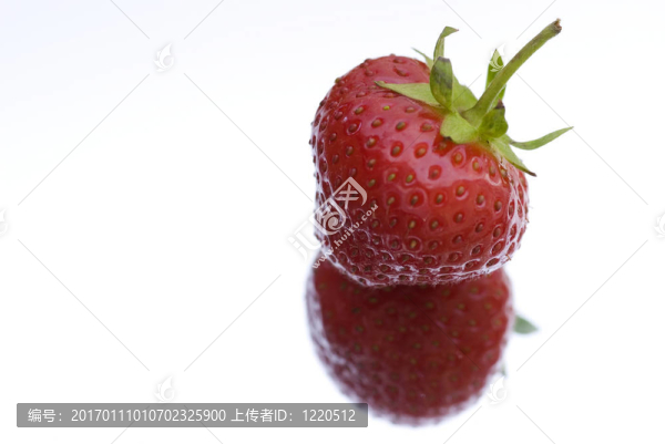 草莓