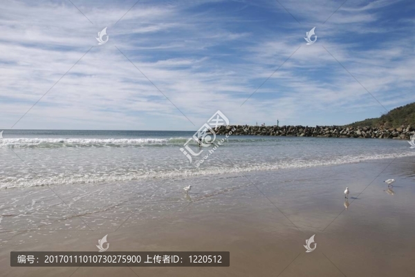 沖浪者