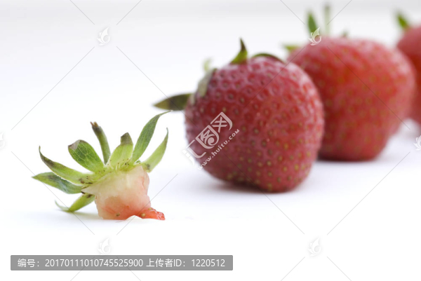 草莓