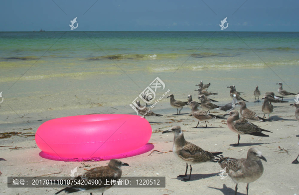 假期的場(chǎng)景