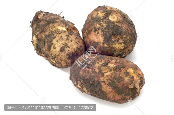 土豆皮