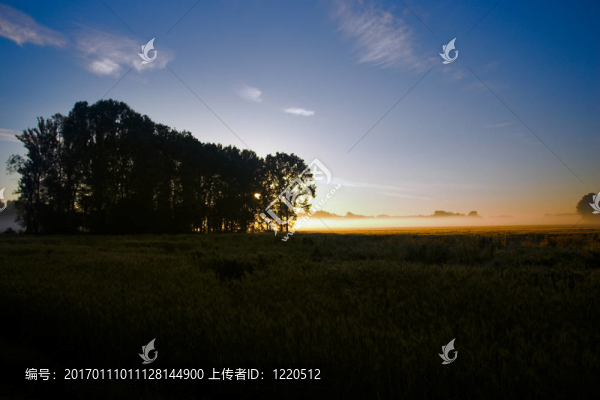 早晨的陽光