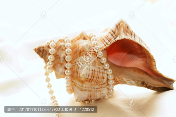 貝殼包裹珍珠