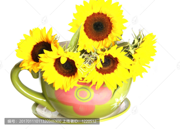 向日葵花束