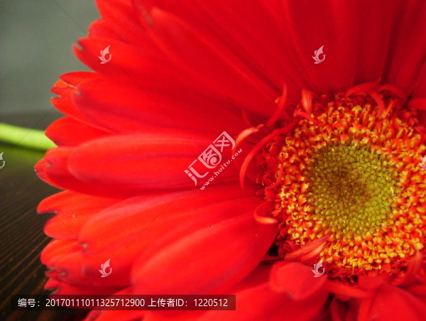 紅色的Gerber