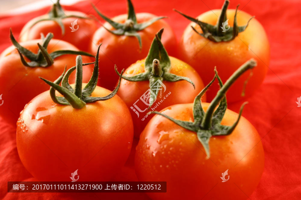 番茄果實(shí)-匯圖網(wǎng) www.fosd68.com 番茄果實(shí)