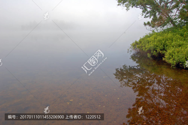 以上strobg霧湖