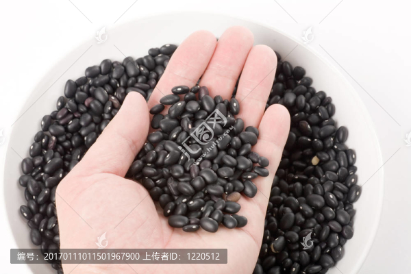 黑豆